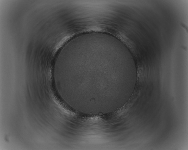 X0000102040112200807181521