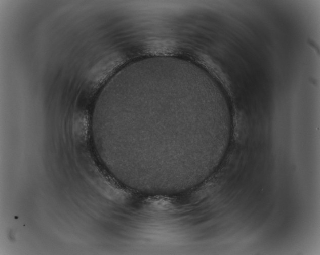 X0000102040113200807181521