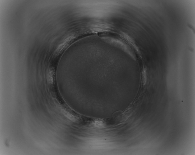 X0000102040114200807181521