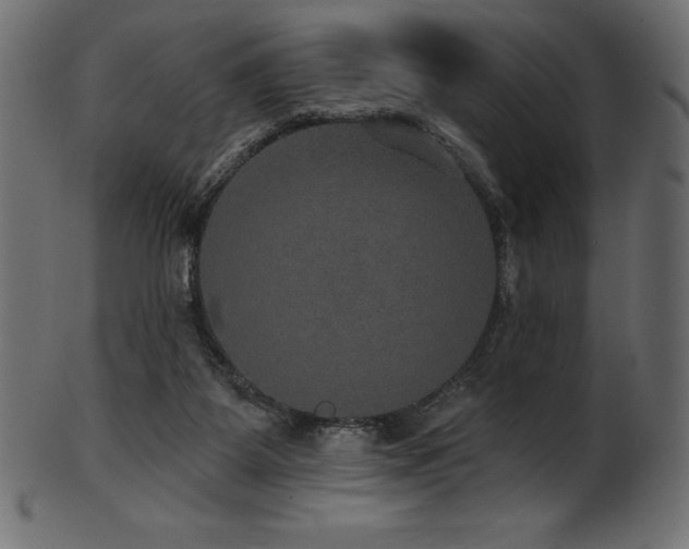 X0000102040115200807181521