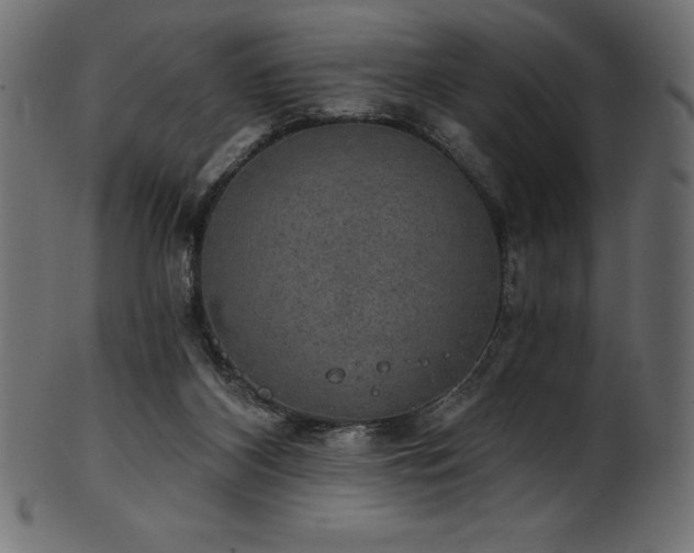 X0000102040116200807181521