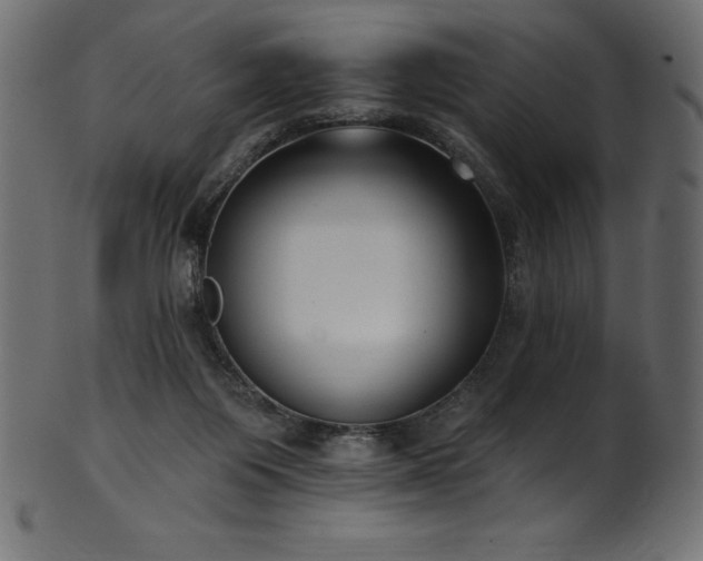 X0000102040119200807181521