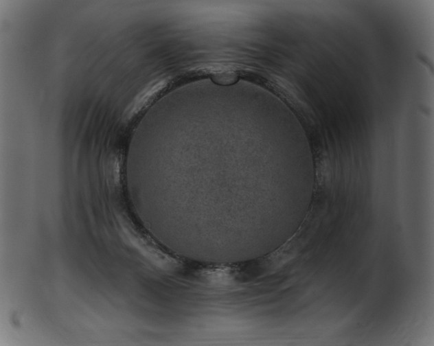 X0000102040120200807181521