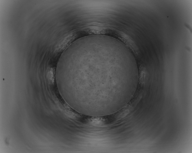 X0000102040121200807181521