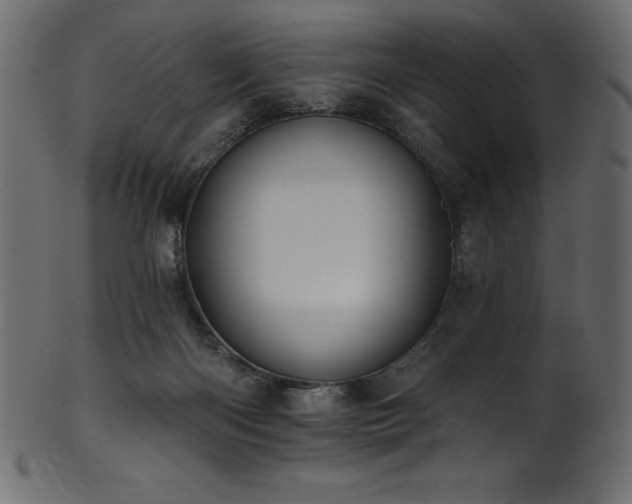 X0000102040122200807181521