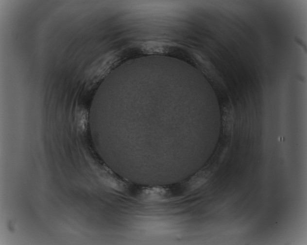 X0000102040125200807181521