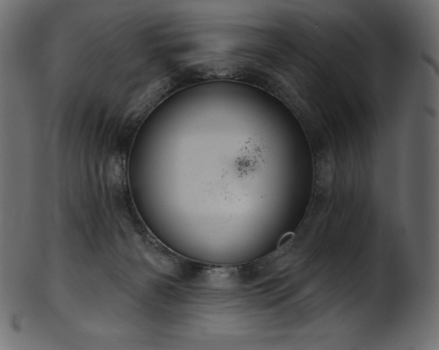 X0000102040126200807181521