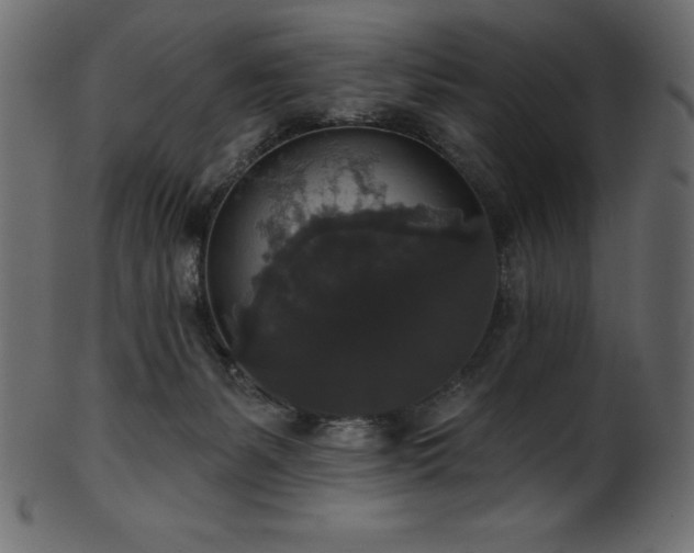 X0000102040127200807181521