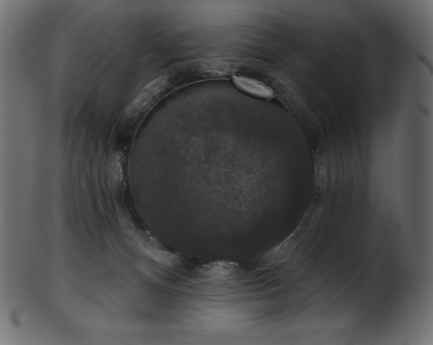 X0000102040128200807181521