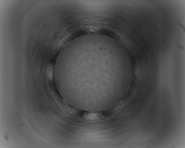 X0000102040129200807181521