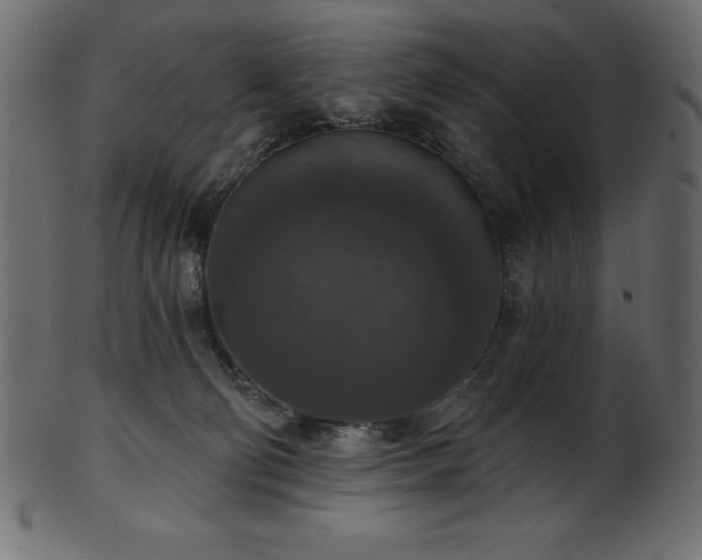 X0000102040130200807181521