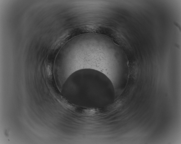 X0000102040131200807181521