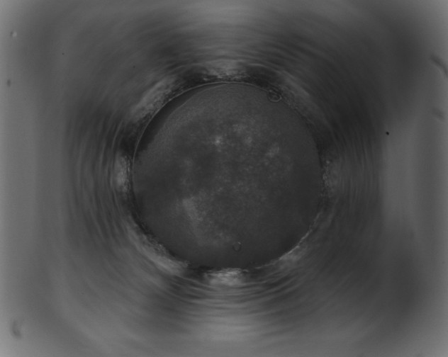 X0000102040132200807181521