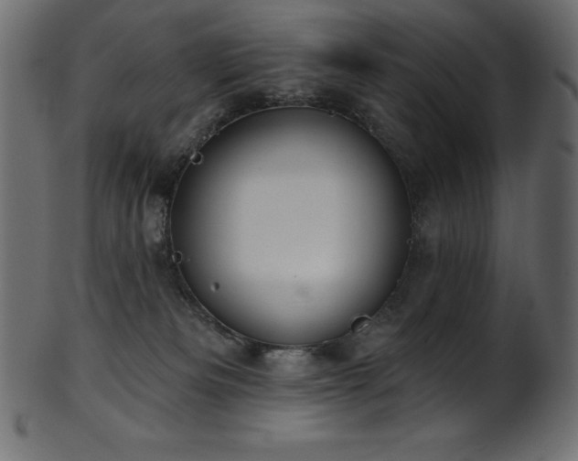 X0000102040133200807181521