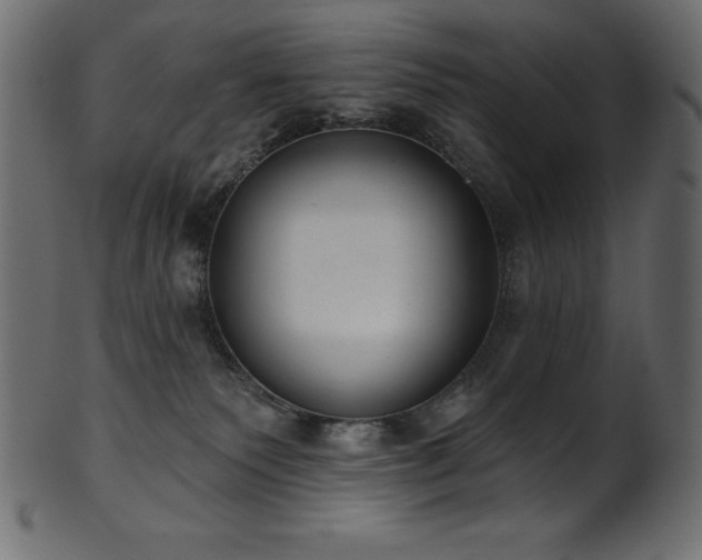 X0000102040135200807181521