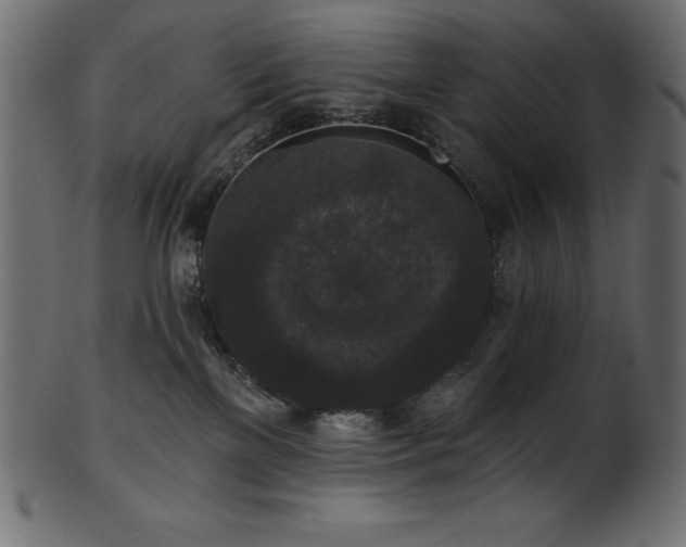 X0000102040137200807181521