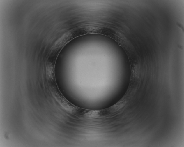 X0000102040138200807181521