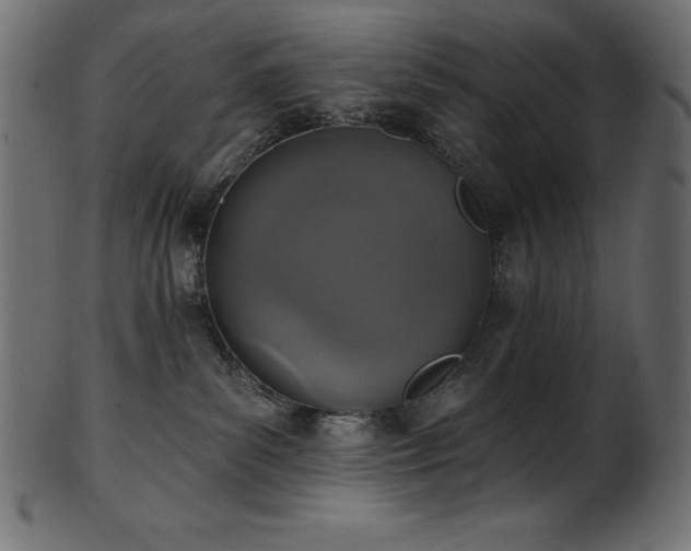 X0000102040139200807181521