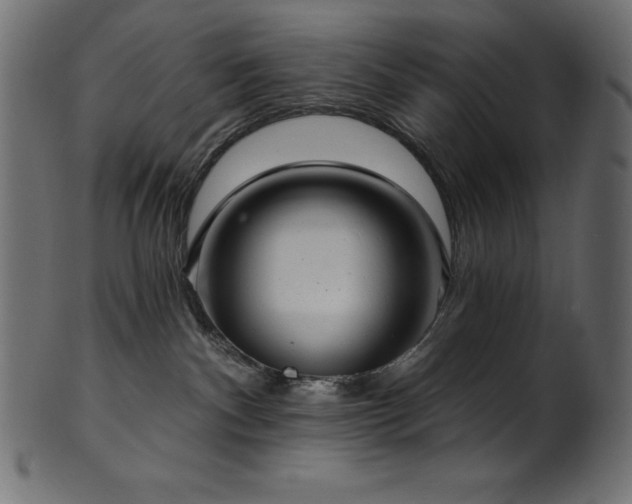 X0000102040140200807181521