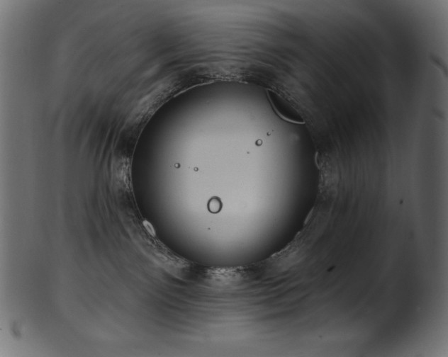 X0000102040141200807181521