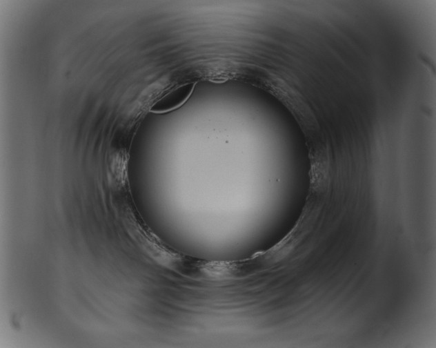 X0000102040142200807181521