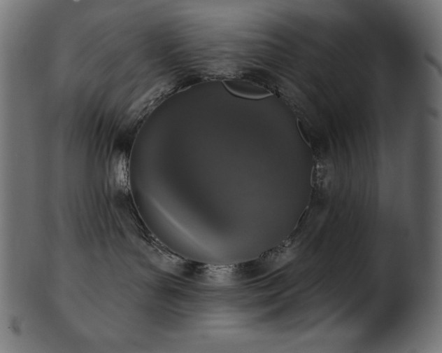 X0000102040143200807181521