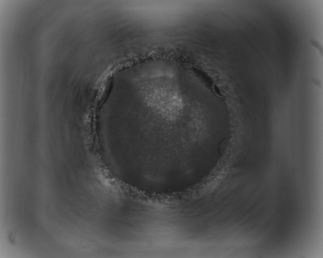 X0000102040144200807181521