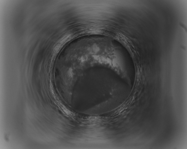 X0000102040145200807181520