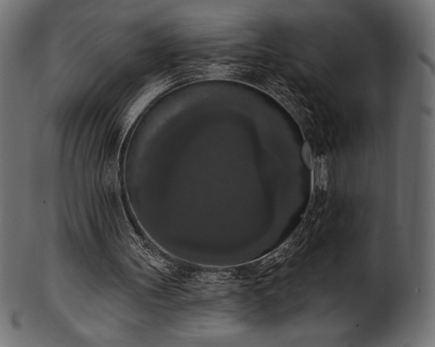 X0000102040147200807181520