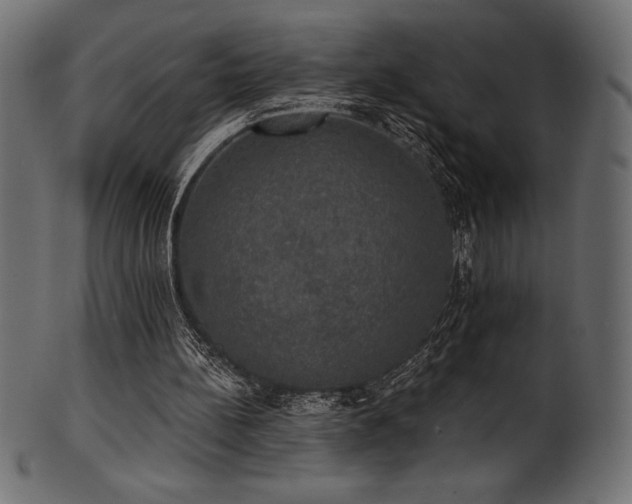 X0000102040148200807181520