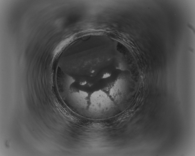 X0000102040149200807181520