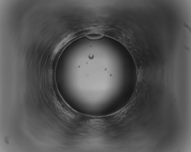 X0000102040150200807181520