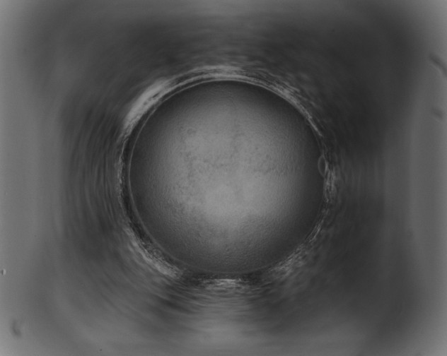 X0000102040151200807181520