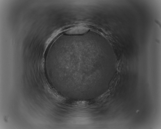 X0000102040152200807181520