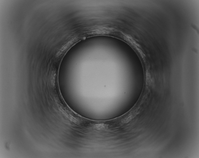 X0000102040153200807181520