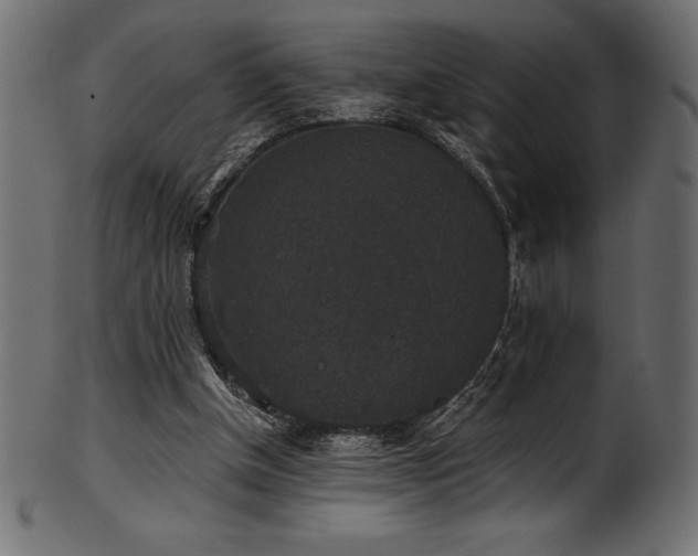 X0000102040154200807181520