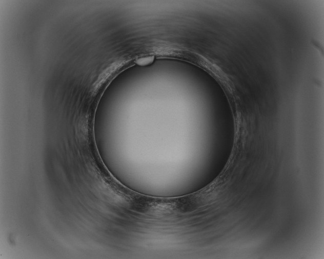 X0000102040155200807181520