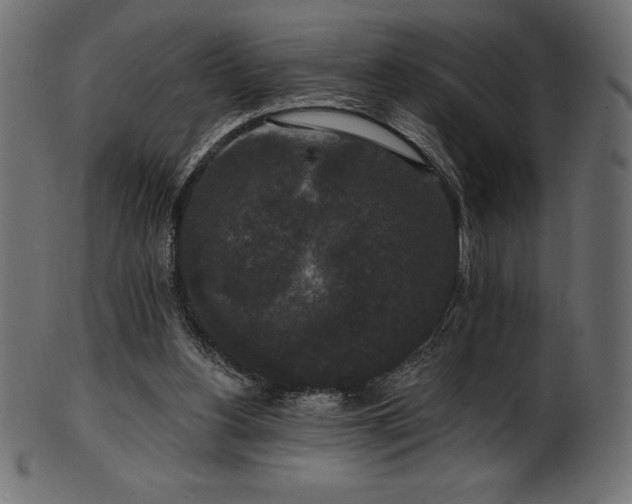 X0000102040156200807181520