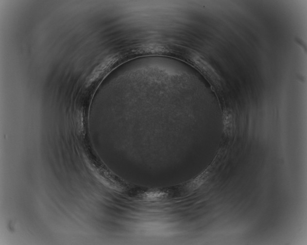 X0000102040158200807181520