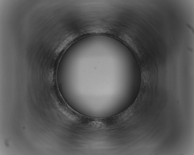 X0000102040159200807181520