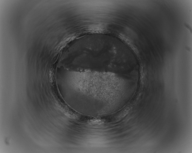 X0000102040161200807181520