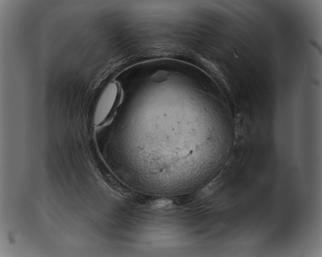 X0000102040162200807181520