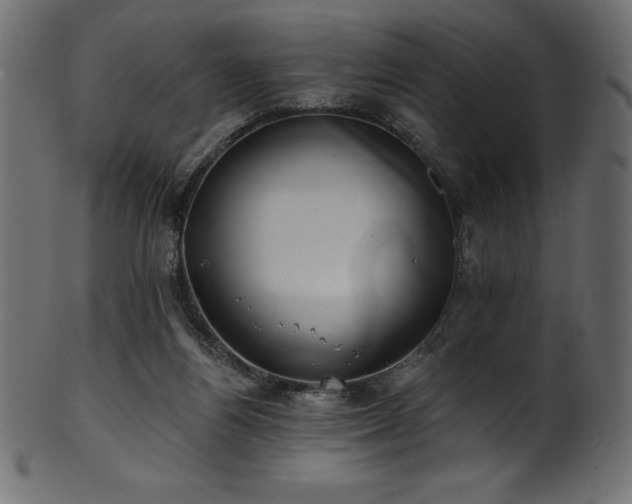 X0000102040164200807181520