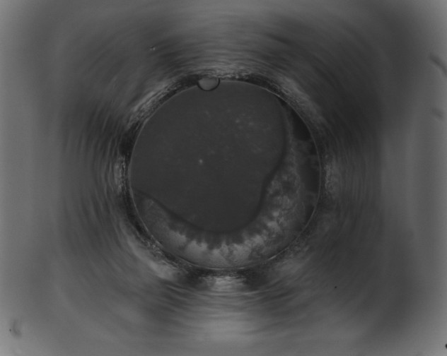 X0000102040165200807181520