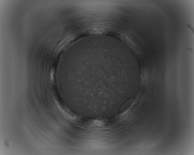 X0000102040166200807181520