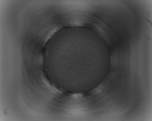 X0000102040168200807181520