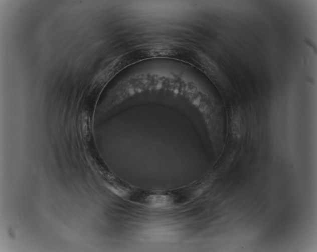 X0000102040169200807181520