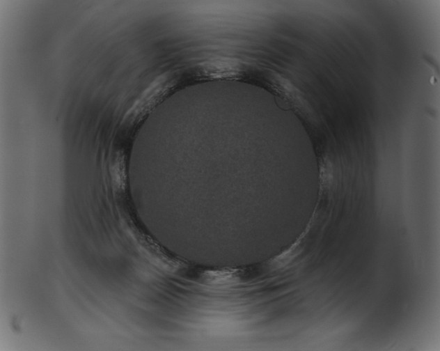 X0000102040170200807181520