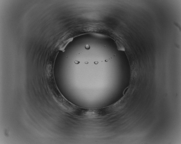 X0000102040171200807181521