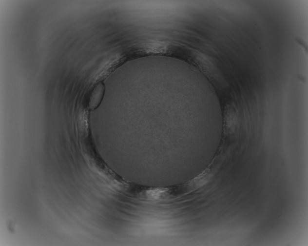 X0000102040172200807181521